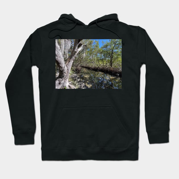 Mangroves and Stream Hoodie by Sparkleweather